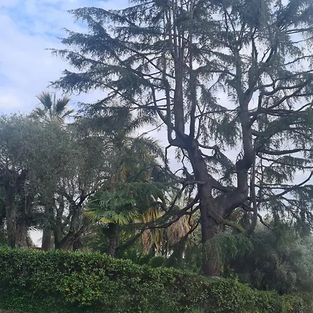 Bienvenue Au Palace Riviera * Menton