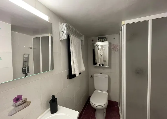 Apartamento Bienvenue Au Palace Riviera *