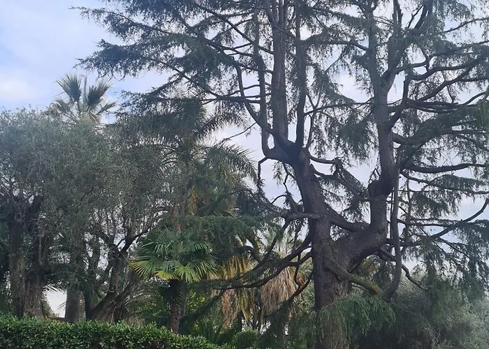 Bienvenue Au Palace Riviera * Menton